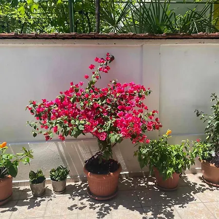 בית הארחה Gergana 4*