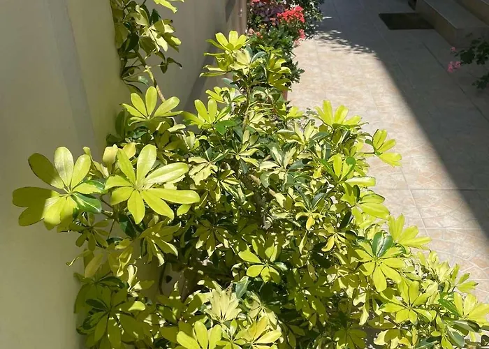 Πανσιόν Gergana Kiten (Burgas)