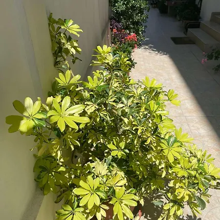 Penzion Gergana Kiten (Burgas)