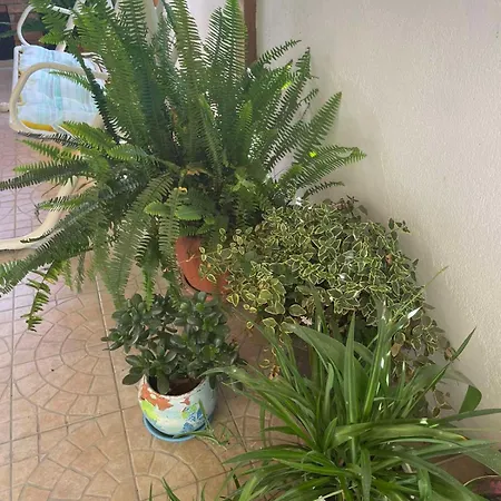 Gergana Affittacamere 4*