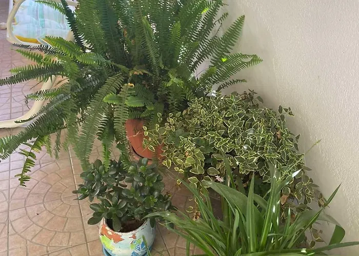 Gergana Pensionat 4*